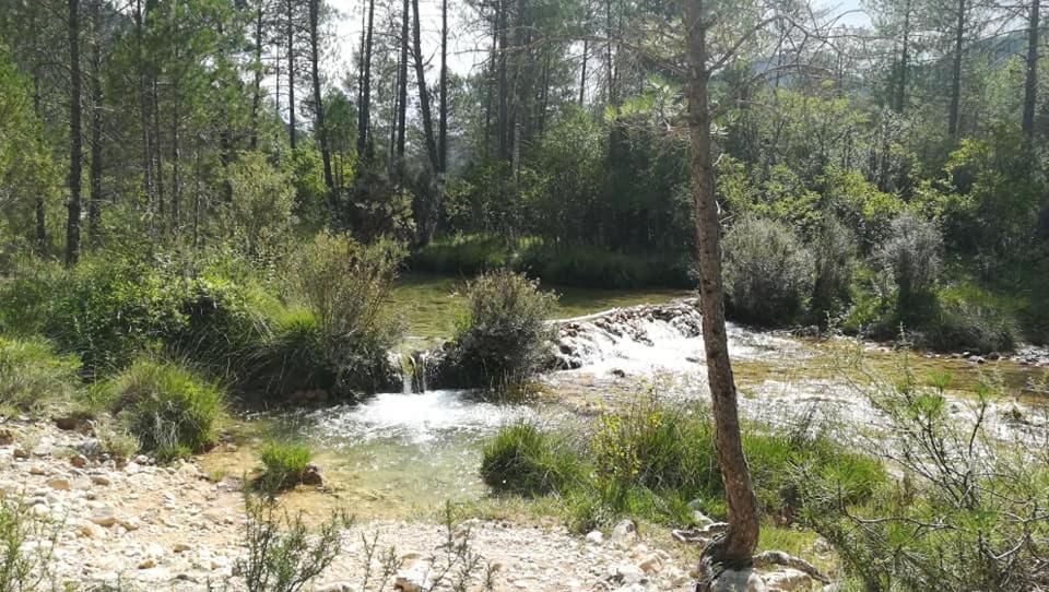 Hotel Rio Escabas, Serrania De Cuenca Cañamares المظهر الخارجي الصورة